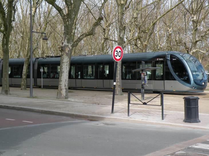  tramway sous les arbres